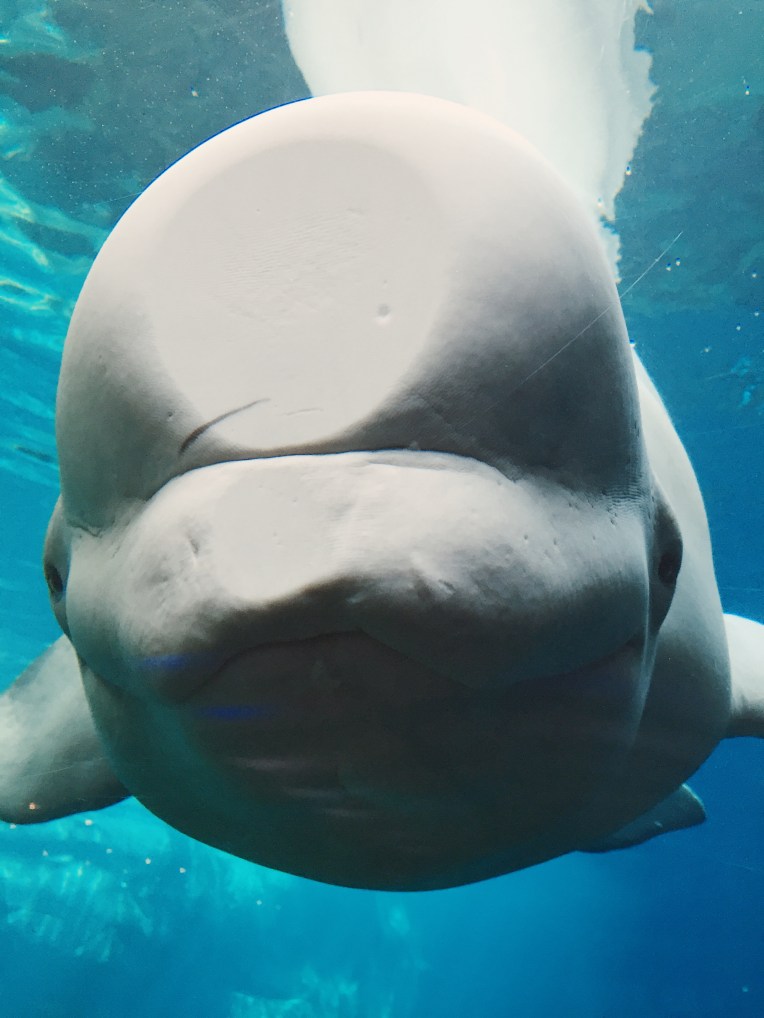 Processed with VSCO with kk2 preset